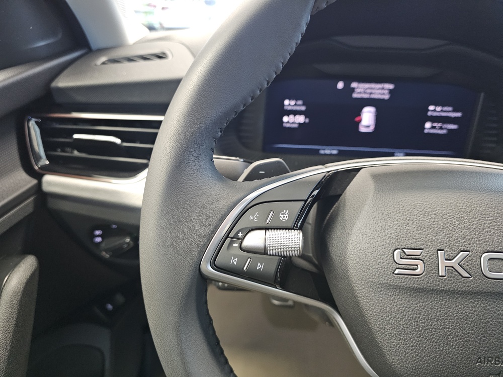 Skoda Kamiq bei Hoffmann Automobile in Wolfsburg kaufen und sofort mitnehmen - Bild 21