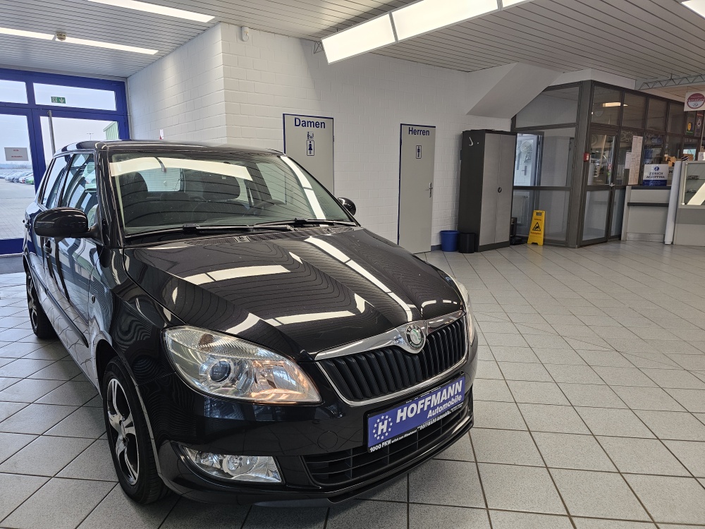 Skoda Fabia bei Hoffmann Automobile in Wolfsburg kaufen und sofort mitnehmen - Bild 19