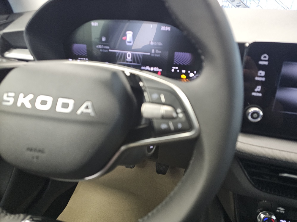 Skoda Fabia bei Hoffmann Automobile in Wolfsburg kaufen und sofort mitnehmen - Bild 16