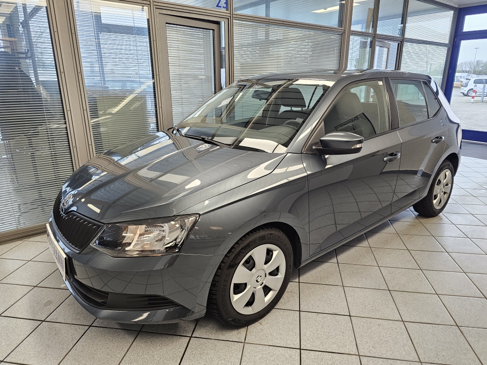 Skoda Fabia Active für nur 6.900,- € bei Hoffmann Automobile in Wolfsburg kaufen und sofort mitnehmen