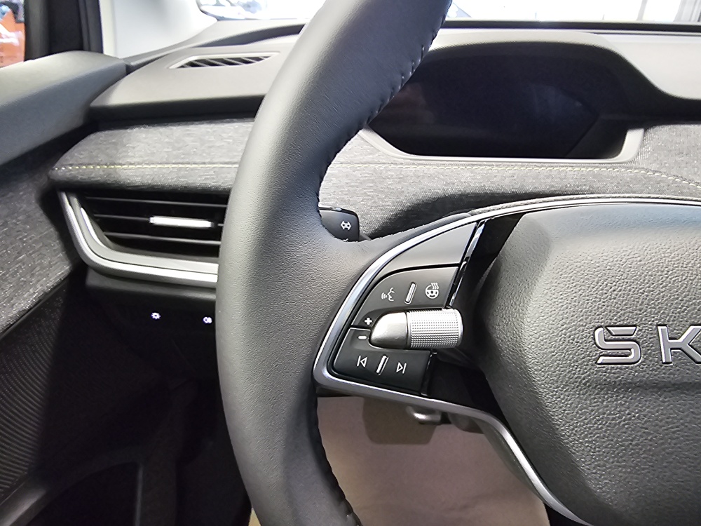 Skoda Elroq bei Hoffmann Automobile in Wolfsburg kaufen und sofort mitnehmen - Bild 19