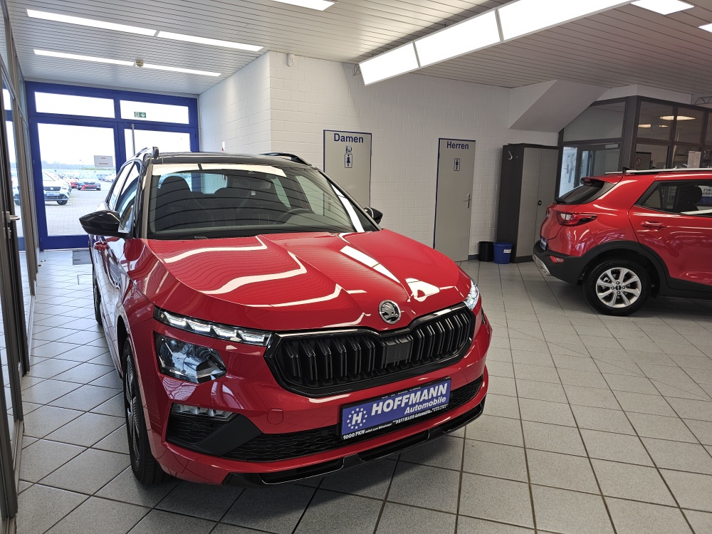 Skoda Kamiq bei Hoffmann Automobile in Wolfsburg kaufen und sofort mitnehmen - Bild 31