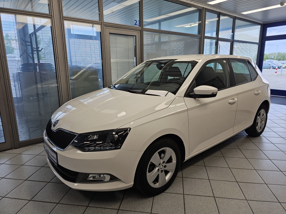 Skoda Fabia Active für nur 8.900,- € bei Hoffmann Automobile in Wolfsburg kaufen und sofort mitnehmen
