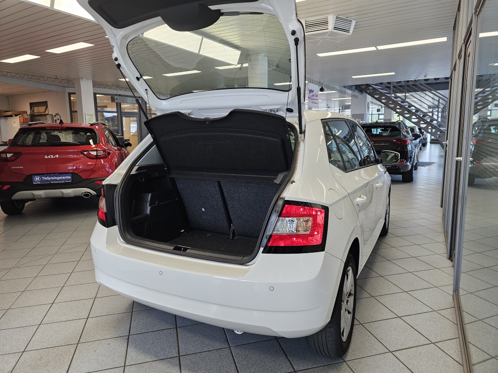 Skoda Fabia bei Hoffmann Automobile in Wolfsburg kaufen und sofort mitnehmen - Bild 2