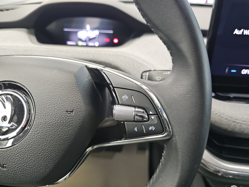 Skoda Enyaq bei Hoffmann Automobile in Wolfsburg kaufen und sofort mitnehmen - Bild 17