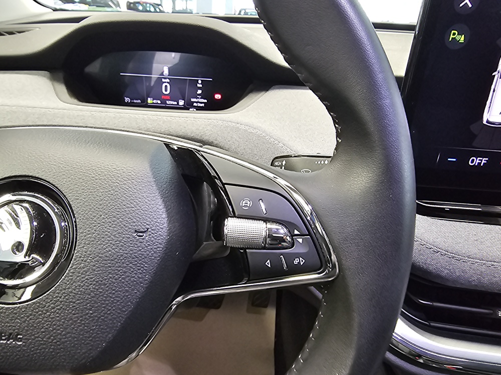 Skoda Enyaq bei Hoffmann Automobile in Wolfsburg kaufen und sofort mitnehmen - Bild 19