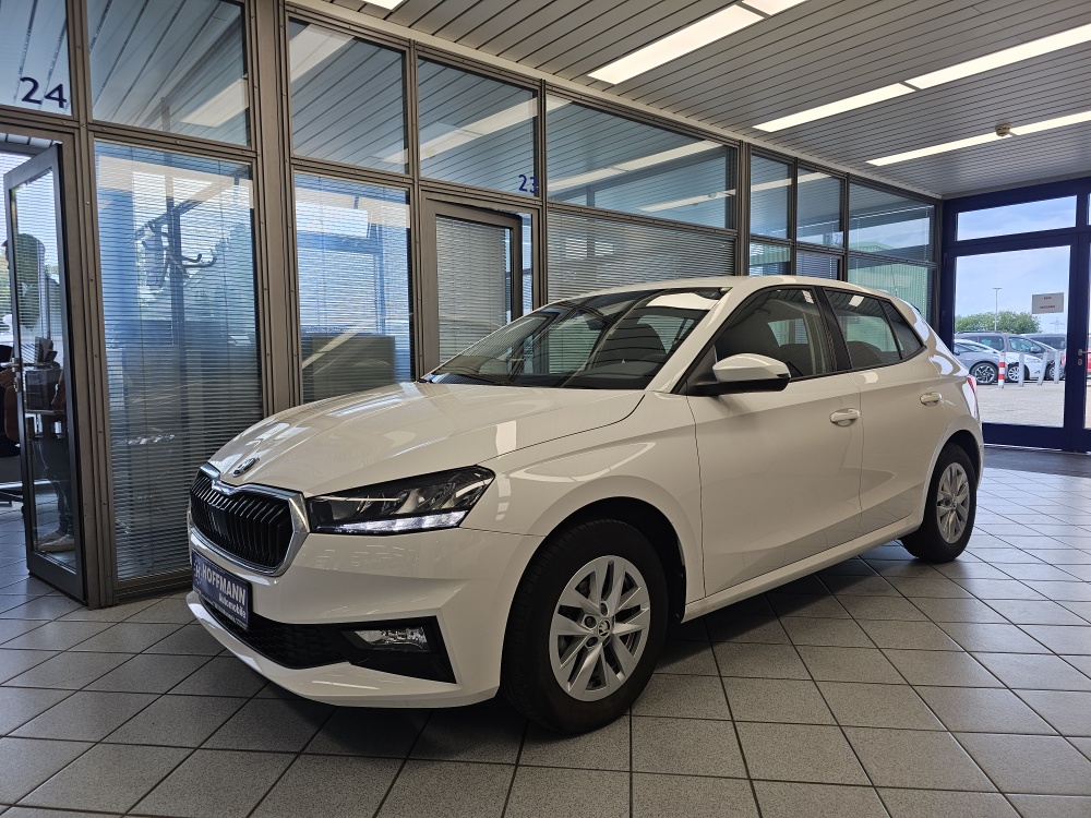 Skoda Fabia bei Hoffmann Automobile in Wolfsburg kaufen und sofort mitnehmen - Bild 1