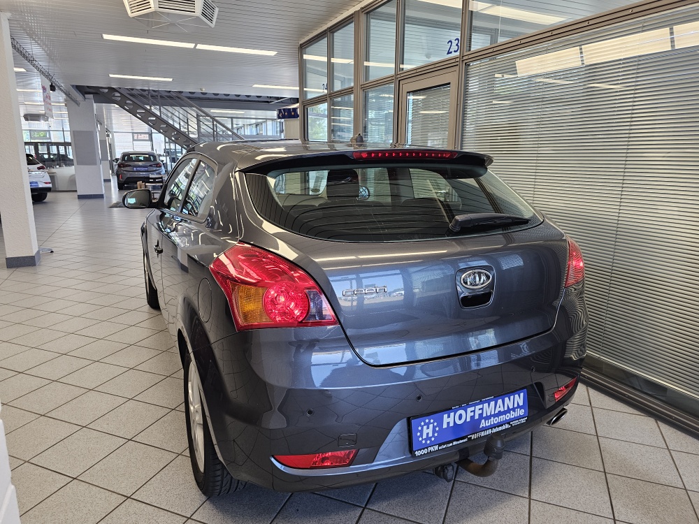 Kia Ceed bei Hoffmann Automobile in Wolfsburg kaufen und sofort mitnehmen - Bild 3