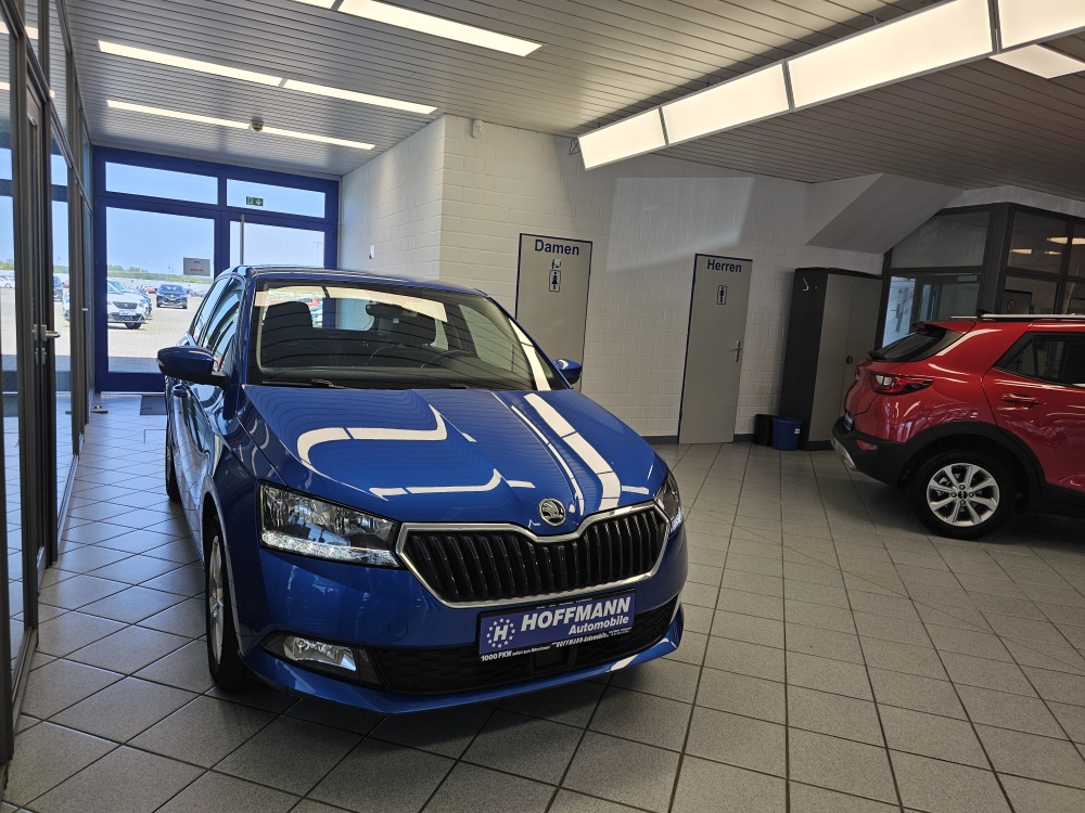 Skoda Fabia bei Hoffmann Automobile in Wolfsburg kaufen und sofort mitnehmen - Bild 22