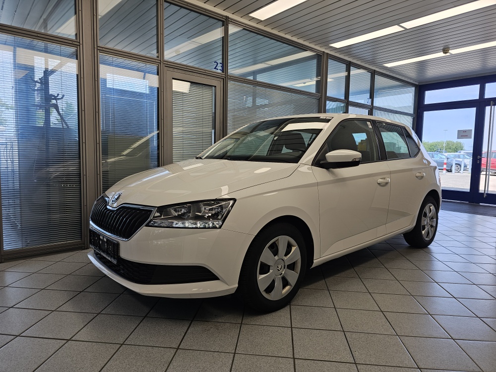 Skoda Fabia bei Hoffmann Automobile in Wolfsburg kaufen und sofort mitnehmen - Bild 1