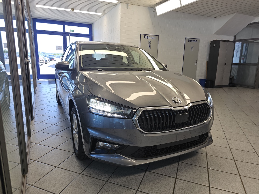 Skoda Fabia bei Hoffmann Automobile in Wolfsburg kaufen und sofort mitnehmen - Bild 26