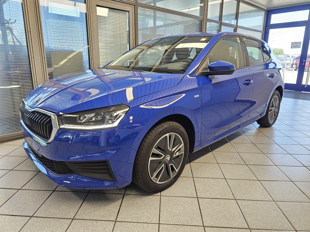 Skoda Fabia bei Hoffmann Automobile in Wolfsburg kaufen und sofort mitnehmen - Bild 1