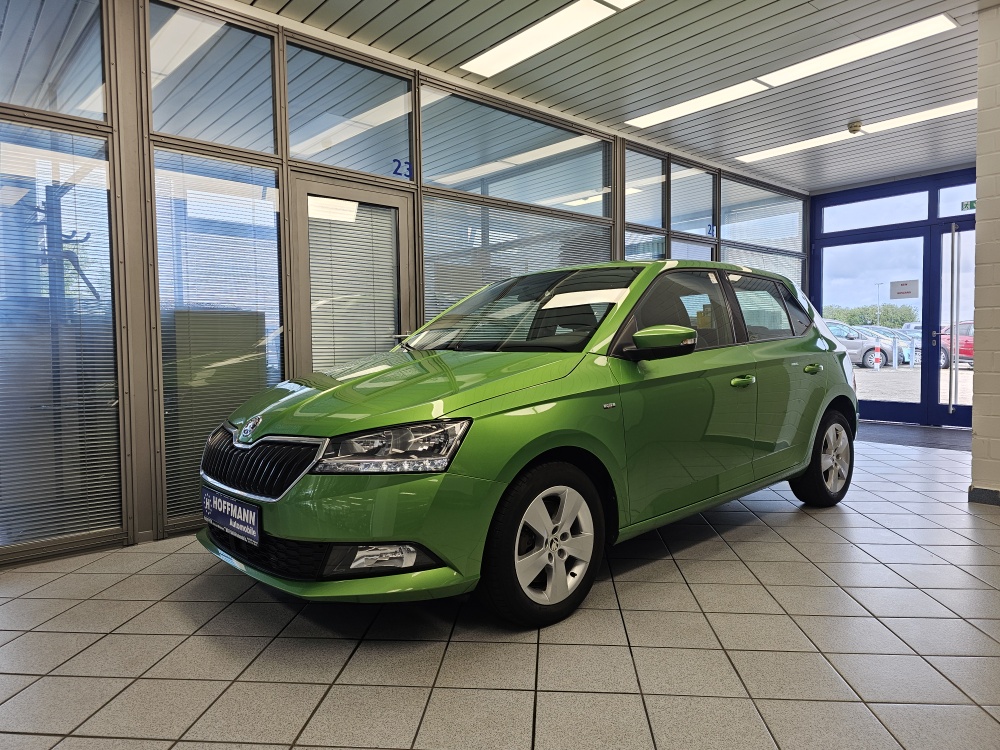 Skoda Fabia bei Hoffmann Automobile in Wolfsburg kaufen und sofort mitnehmen - Bild 1
