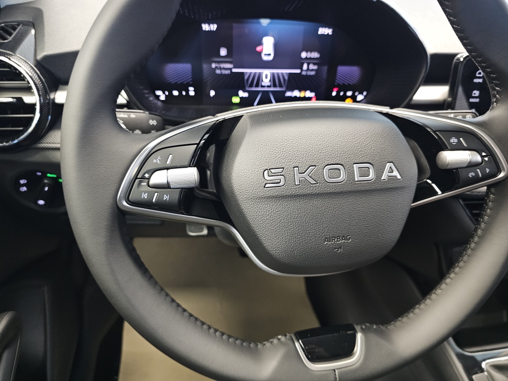 Skoda Fabia bei Hoffmann Automobile in Wolfsburg kaufen und sofort mitnehmen - Bild 14