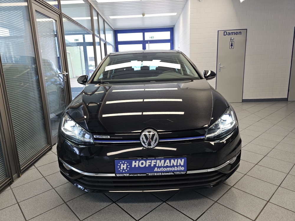 VW Golf bei Hoffmann Automobile in Wolfsburg kaufen und sofort mitnehmen - Bild 22
