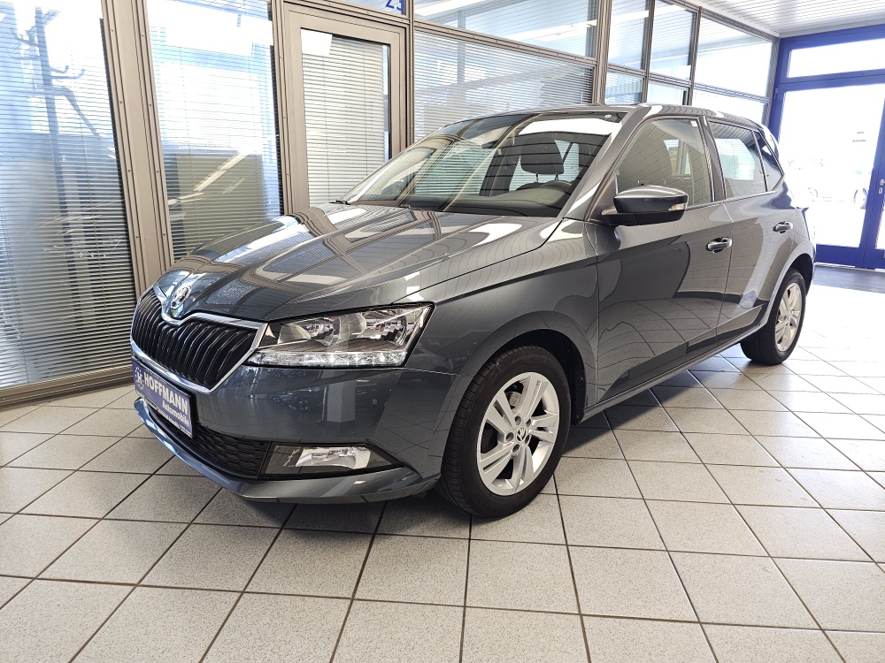 Skoda Fabia bei Hoffmann Automobile in Wolfsburg kaufen und sofort mitnehmen - Bild 1