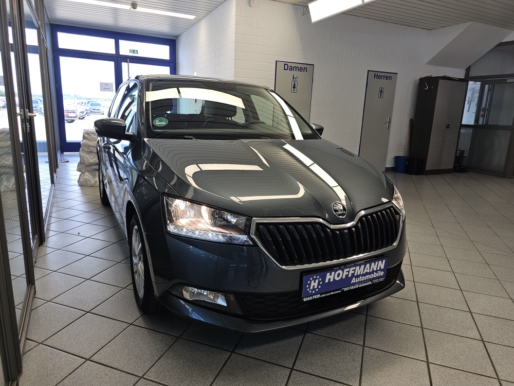 Skoda Fabia bei Hoffmann Automobile in Wolfsburg kaufen und sofort mitnehmen - Bild 22
