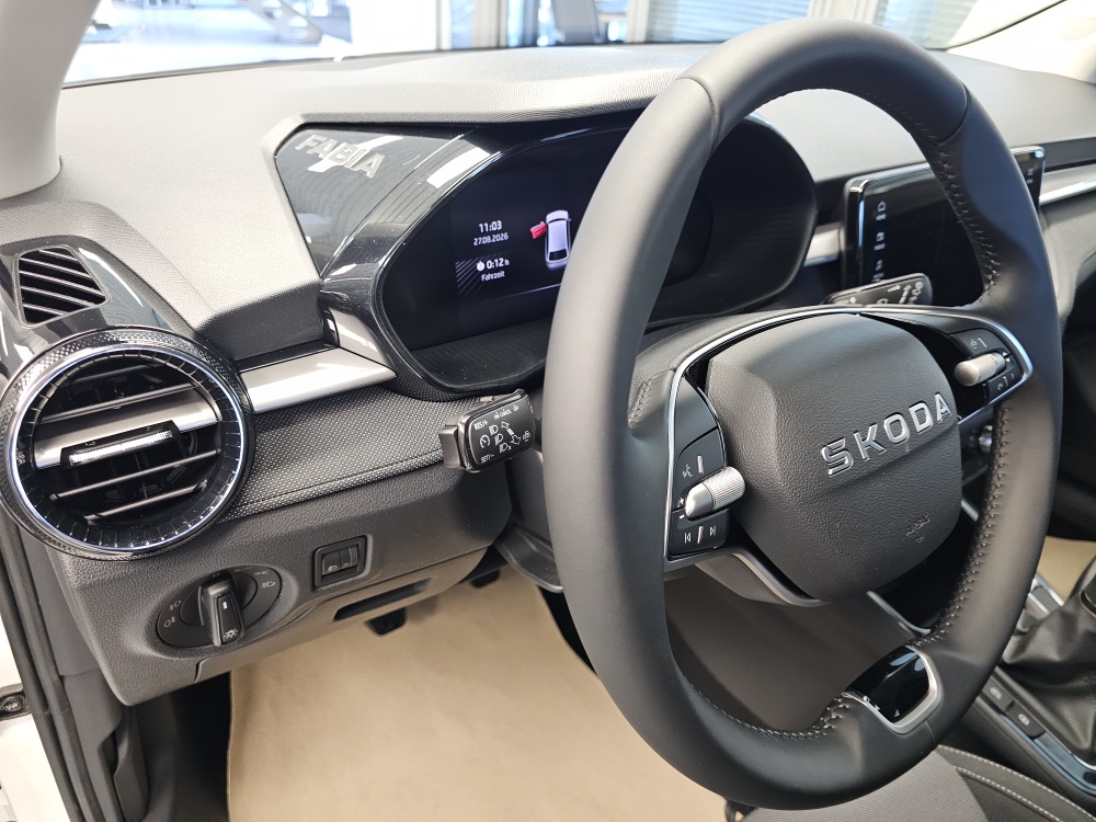 Skoda Fabia bei Hoffmann Automobile in Wolfsburg kaufen und sofort mitnehmen - Bild 19