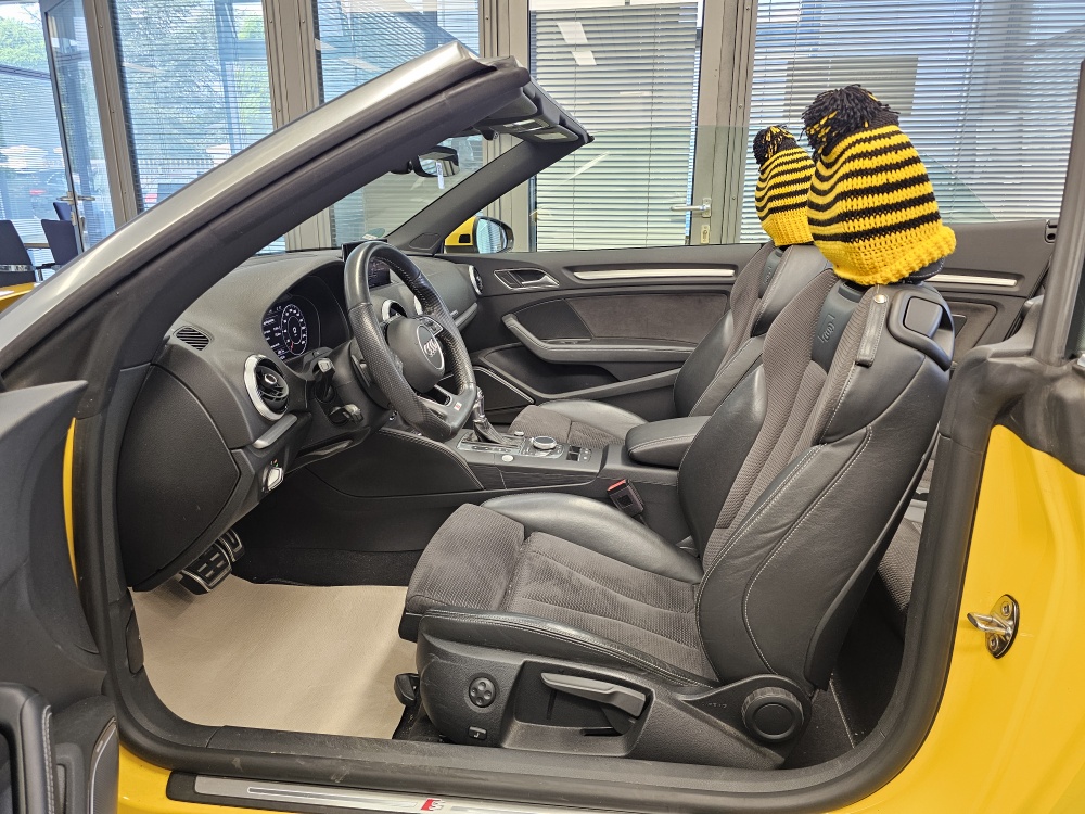 Audi A3 Cabrio bei Hoffmann Automobile in Wolfsburg kaufen und sofort mitnehmen - Bild 19