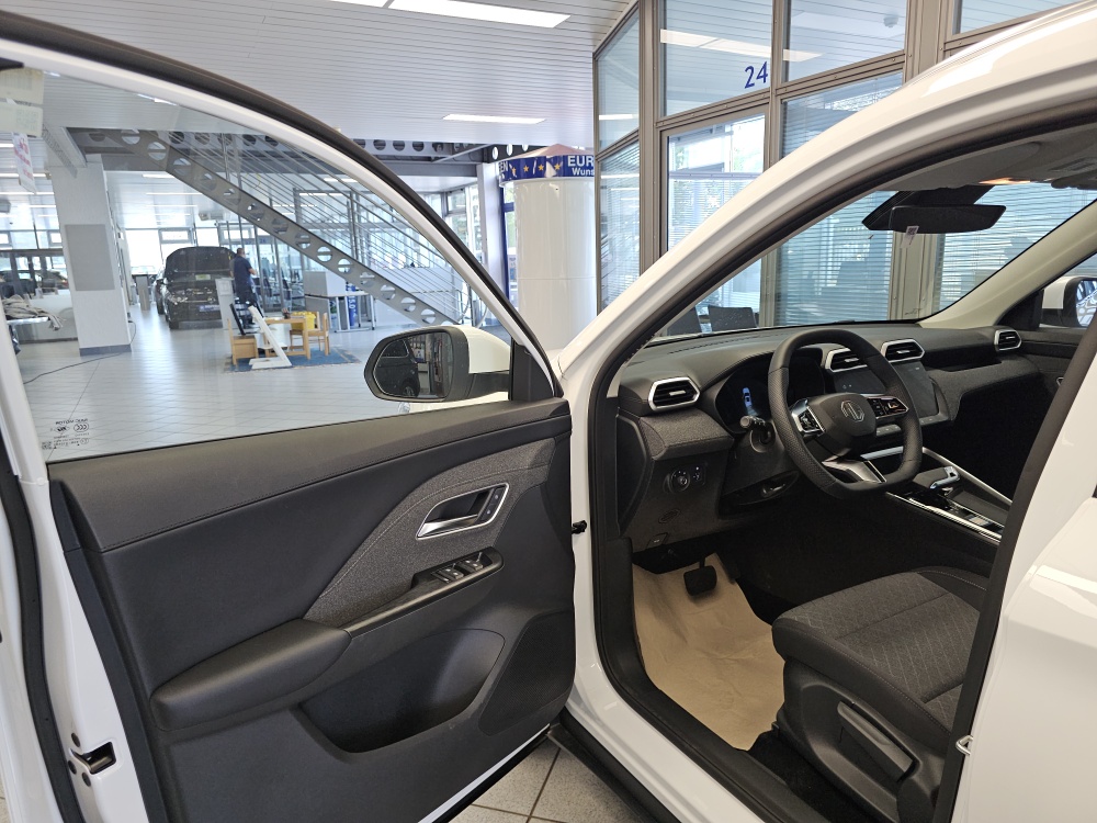 MG ZS bei Hoffmann Automobile in Wolfsburg kaufen und sofort mitnehmen - Bild 26