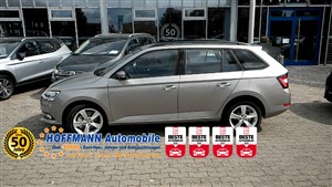 902 Bewertungen von unseren Kunden, die ein Skoda Fabia bei uns gekauft haben. 